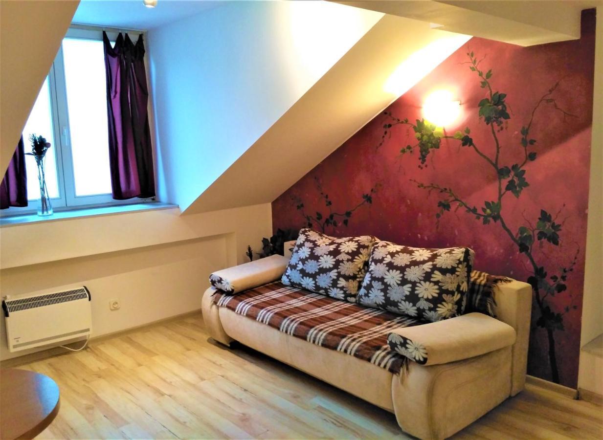 Krakow City Centre Apartment - Bon Turystyczny Bagian luar foto